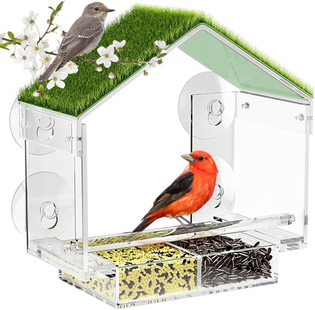 Window Bird Feeder, Suction Cups Bird Feeder Window for Outside, Clear Acrylic Bird Feeder with Drain Holes and Removable Tray, Great Bird Watching Gifts for Kids, Elderly, Cat
